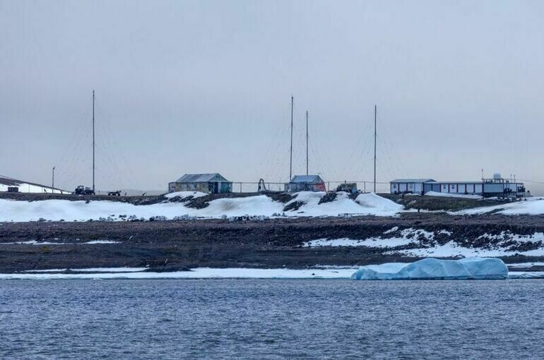   Илья Тимин / РИА Новости