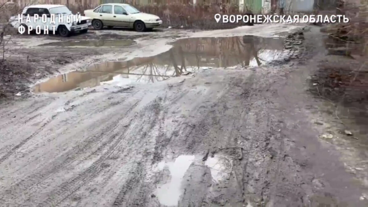    Жители аварийного дома в Воронеже рискуют жизнью из-за лужи под напряжением регионально отделение ОНФ