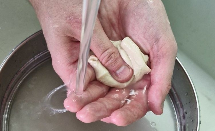    Почему пшеницу проверяют на клейковину