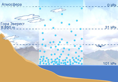    Количество молекул воздуха на разных высотахgeografya.ru