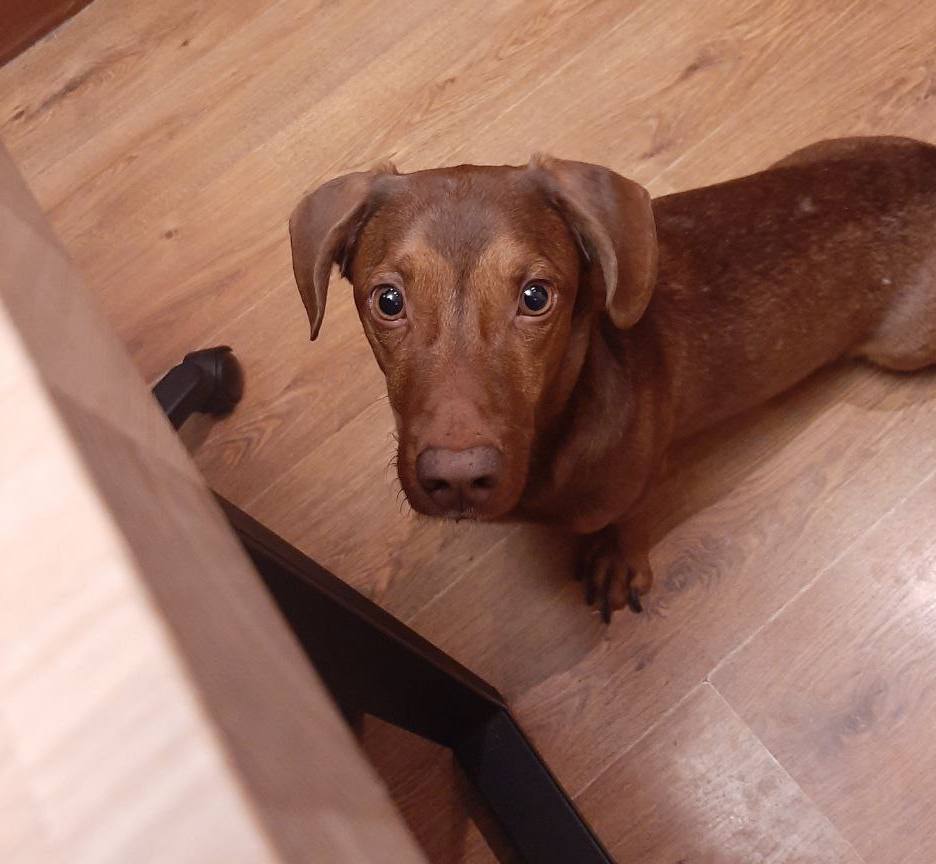 Фото автора