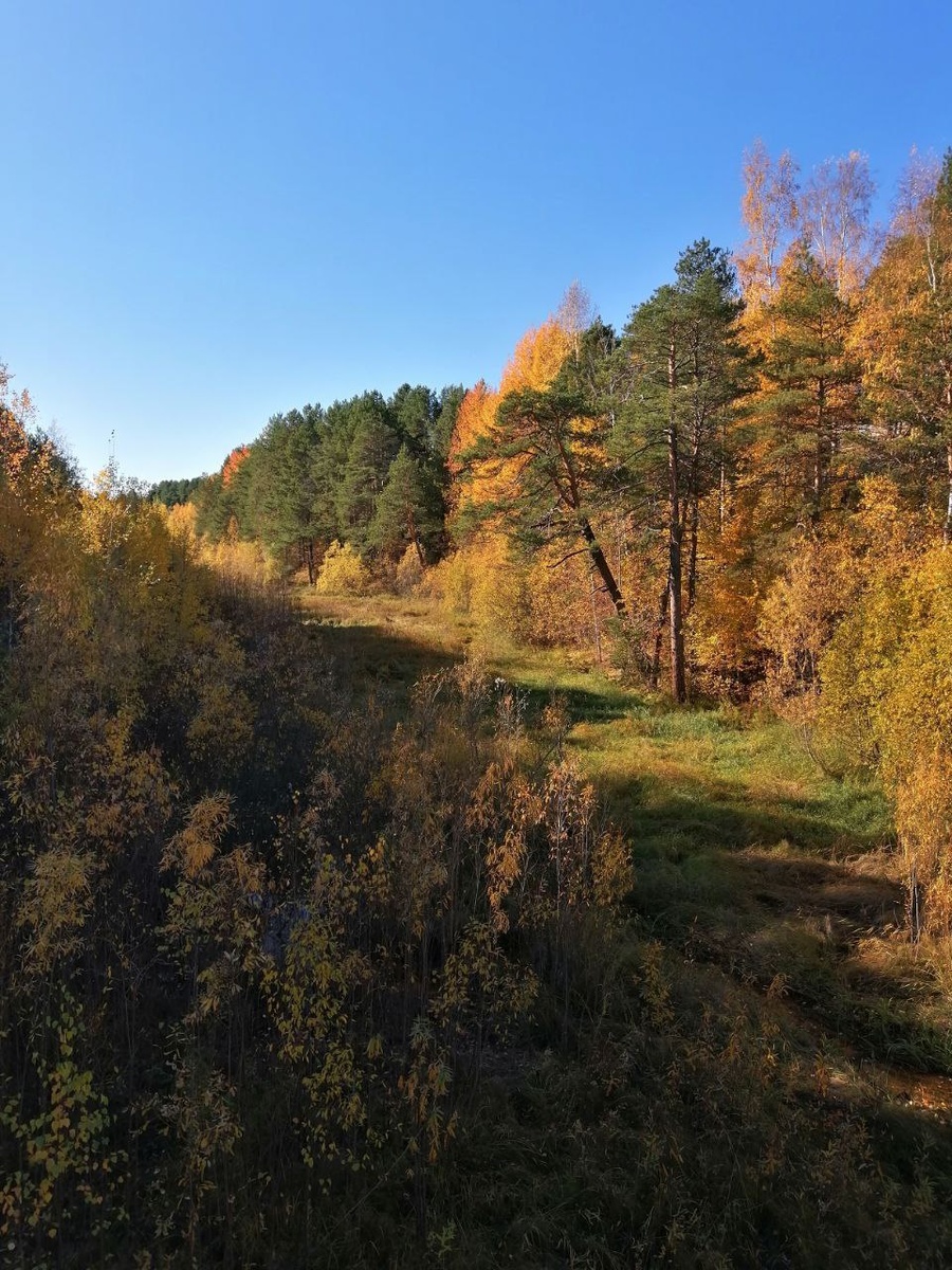 © Каракулько А.И.