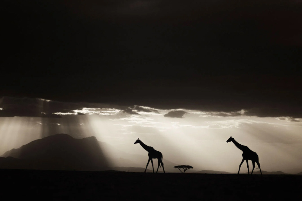    Фото: Piper Mackay