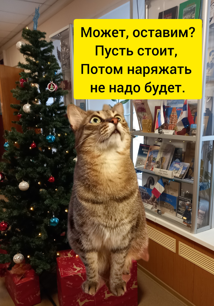 Коллаж автора.