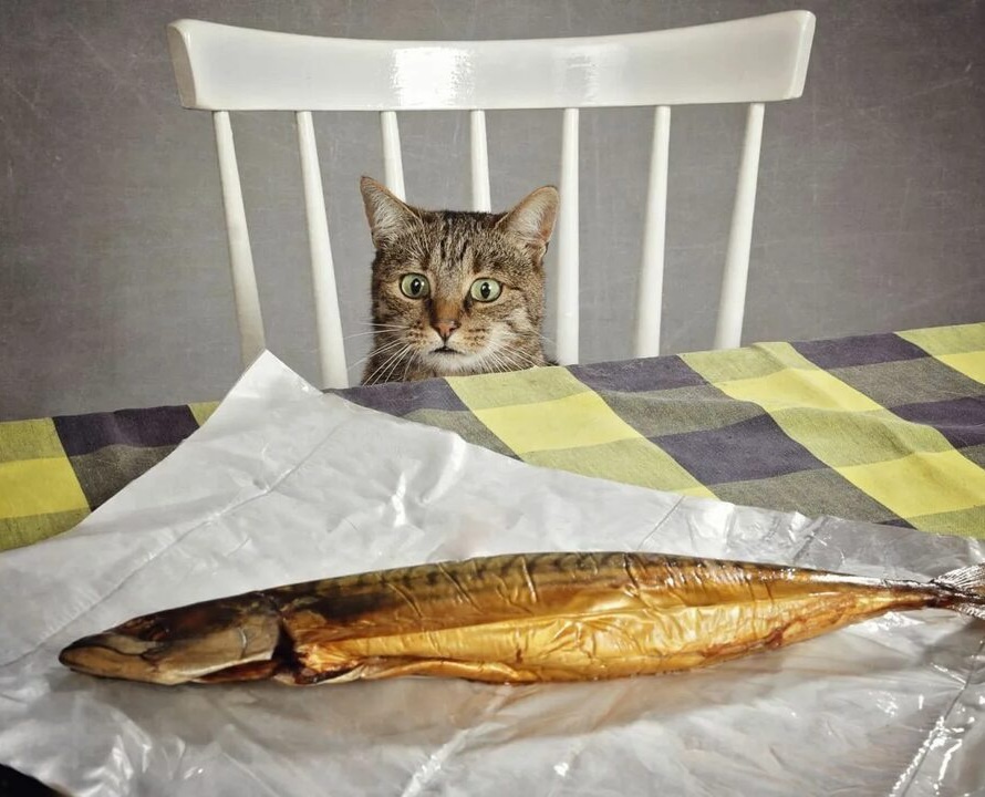 Яндекс картинки