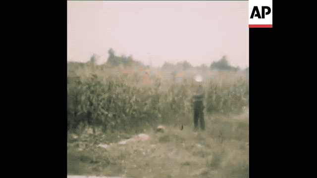 Кадры, снятые на месте крушения «Трайдент». Источник видео: Associated Press
