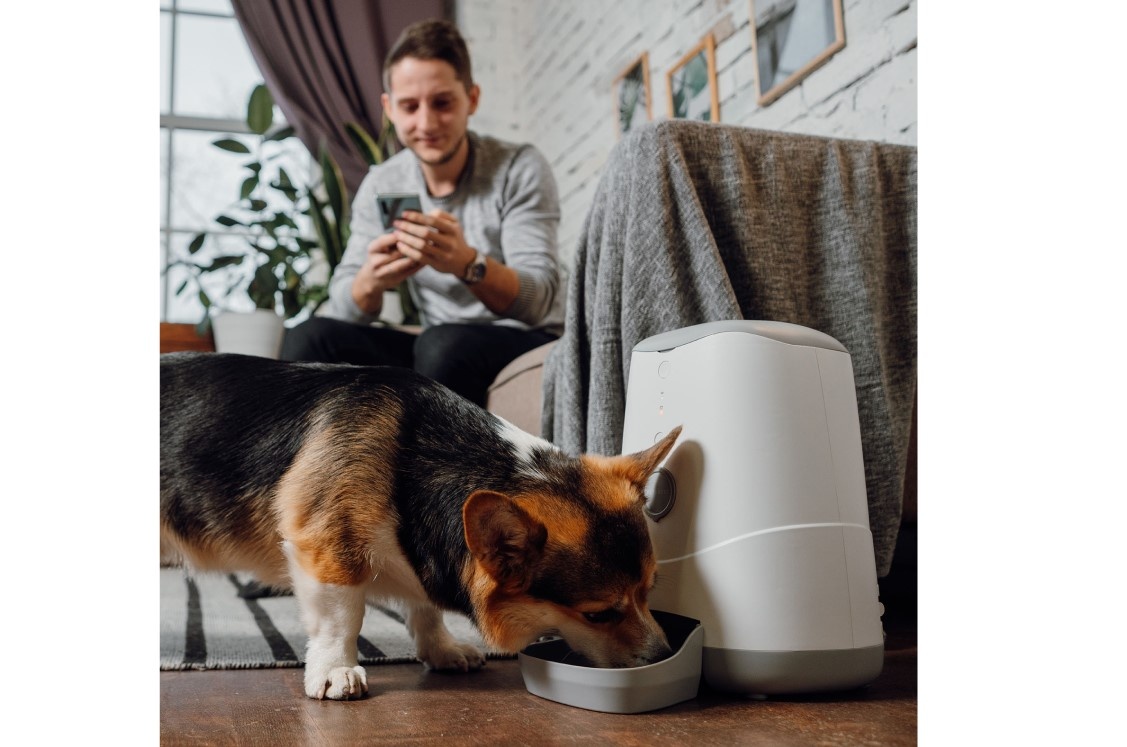 petoneer.ru📷Автокормушка Petoneer