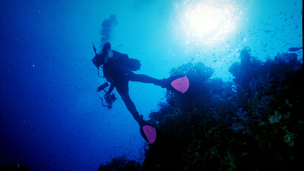    Фото: Roman Denisov/Globallookpress