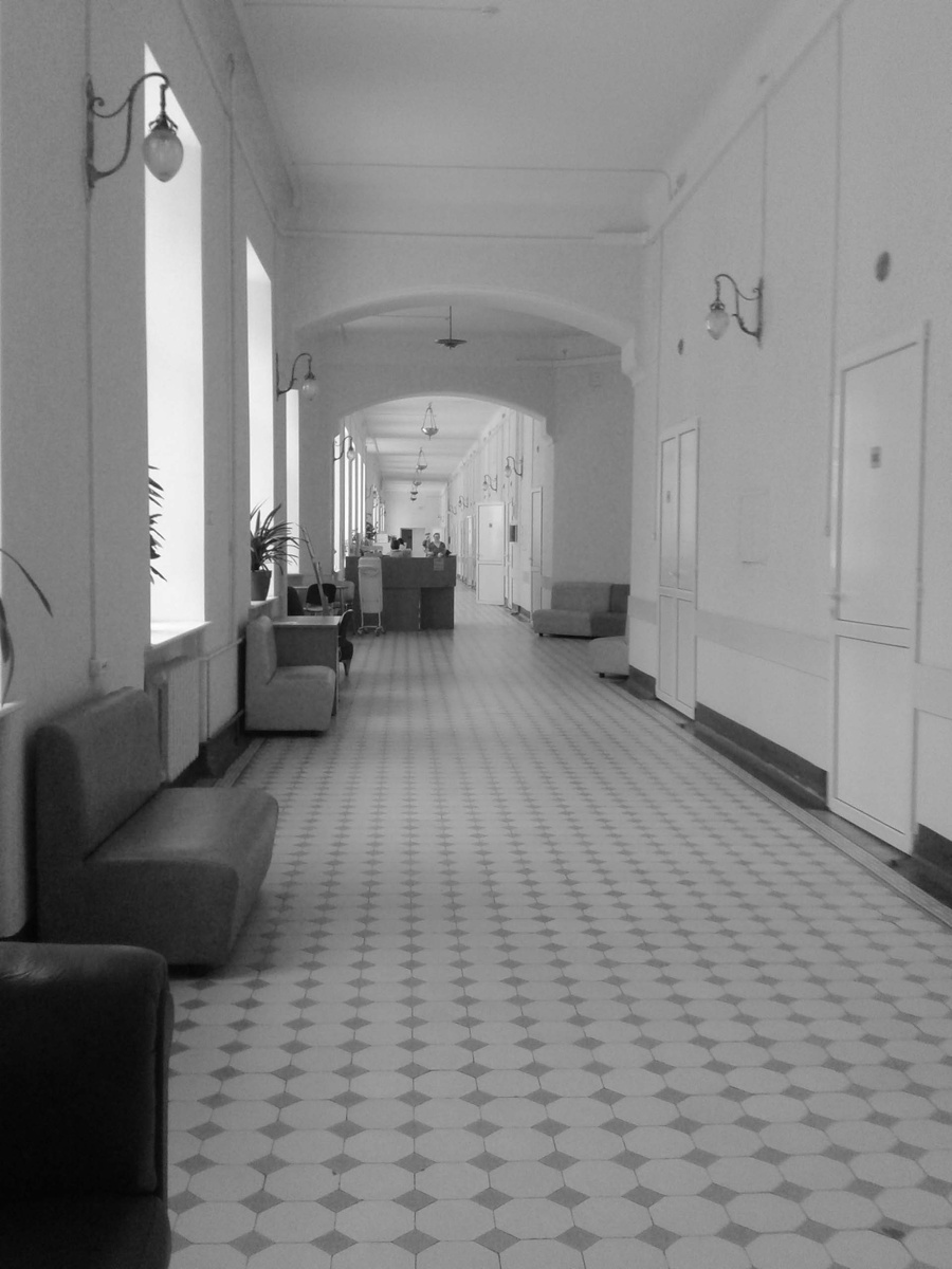 Бесконечный коридор Дородового отделения института Отта.