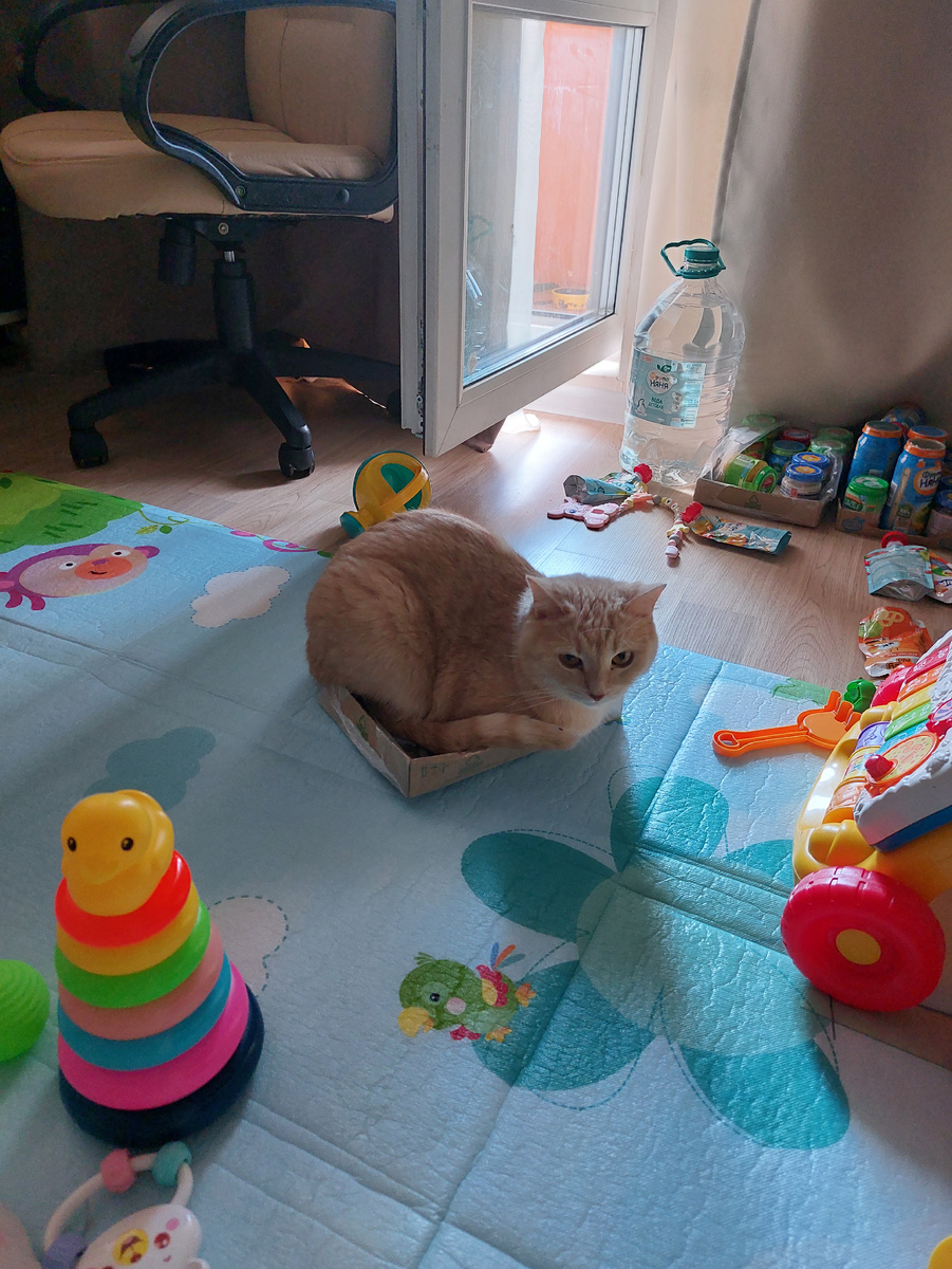 Самое страшное с тех времен - раскиданные игрушки, которые приходилось убирать по сто раз в день