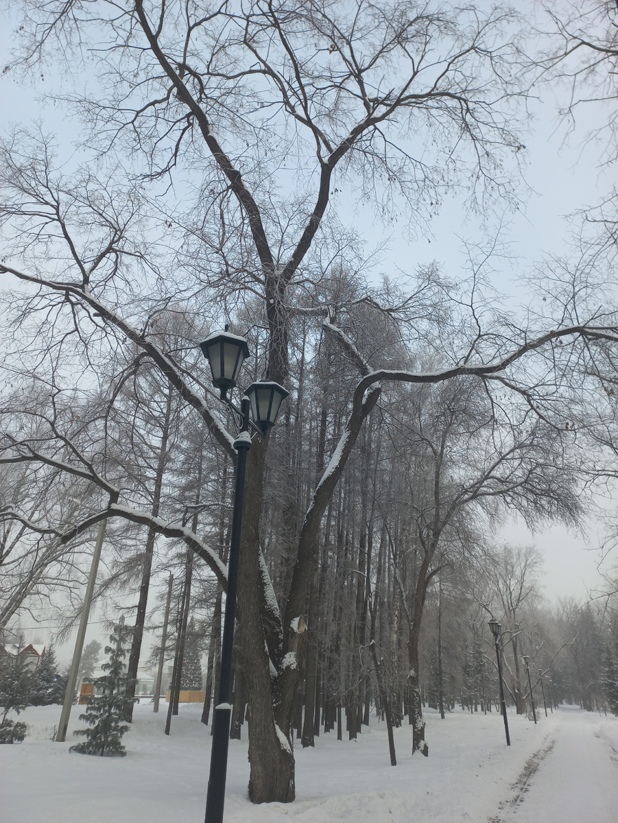 Погода сегодня