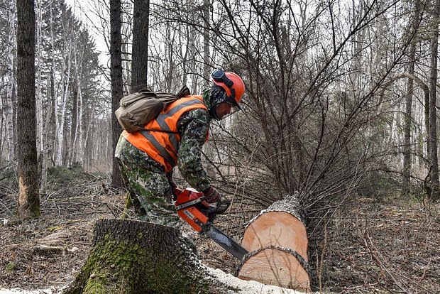 Фото: Юрий Смитюк / ТАСС