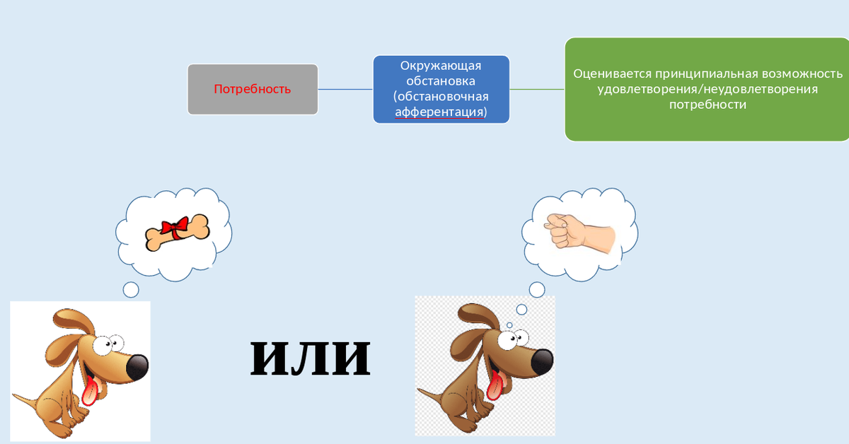 Слайд из лекции золотого преподавателя В.В. Гриценко по теоретическим основам дрессировки.