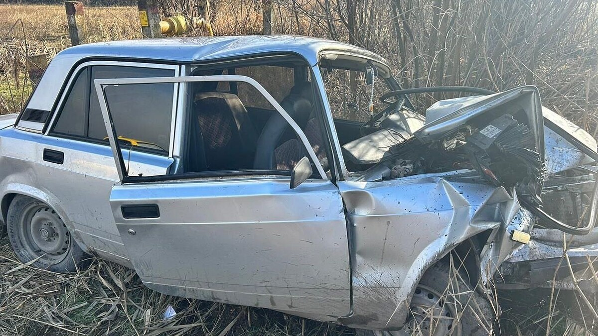    Фото: ГУ МВД России по Краснодарскому краю