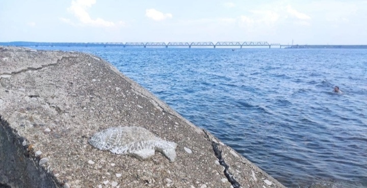 Далёкий Ульяновск