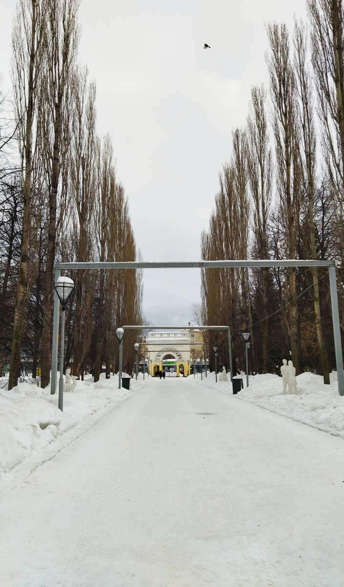 Фото автора