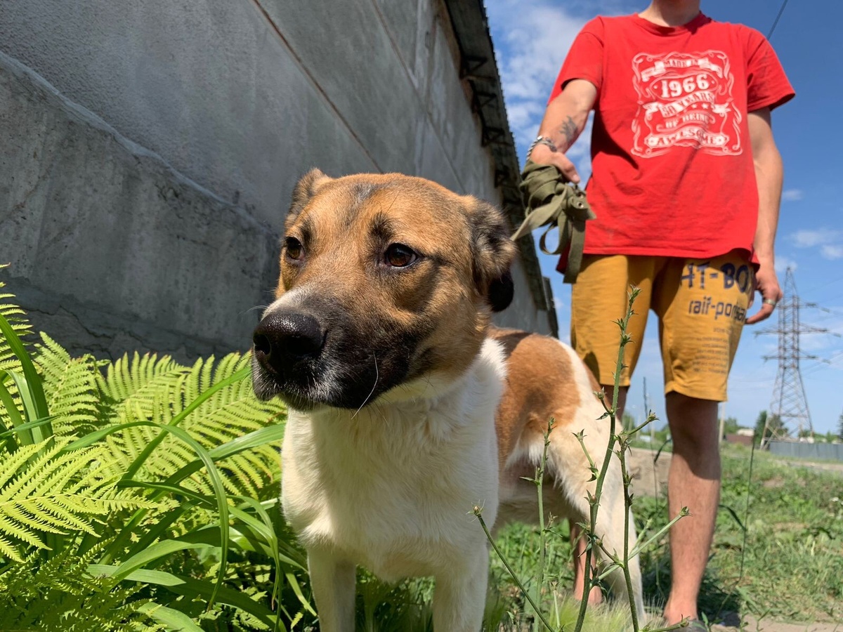 А это уже после выздоравления