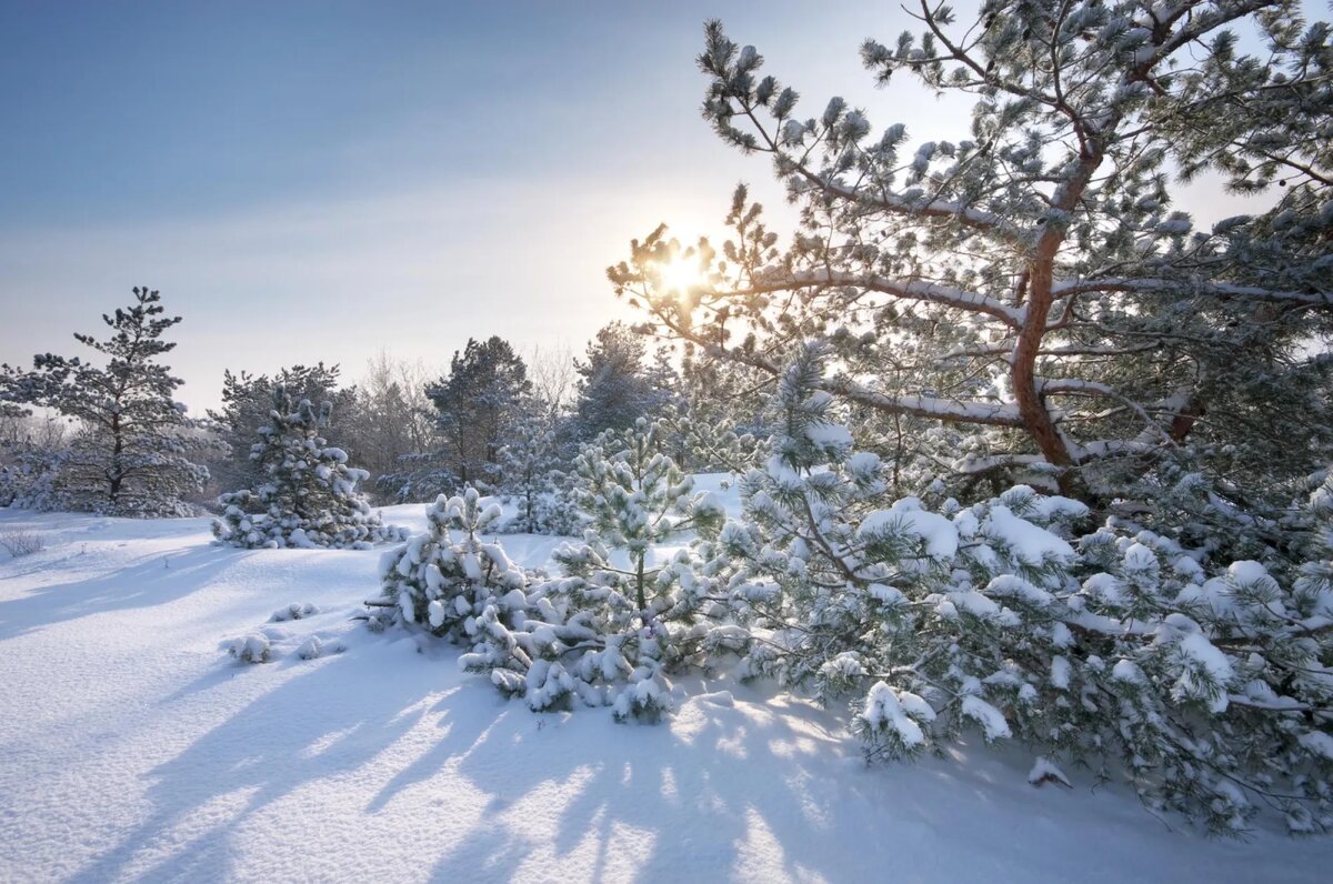 @rianstudio / freepik.com