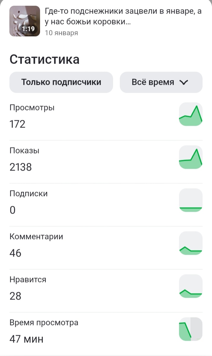 Фото автора канала "Волнушка"