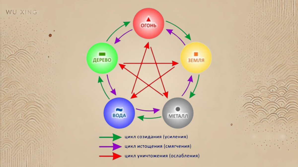 Каждый элемент играет свою роль, но здоровье достигается, только если между ними сохраняется баланс