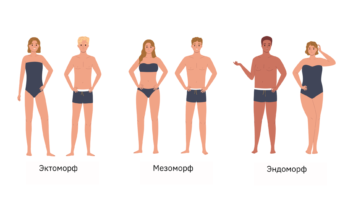 Типы телосложения.
