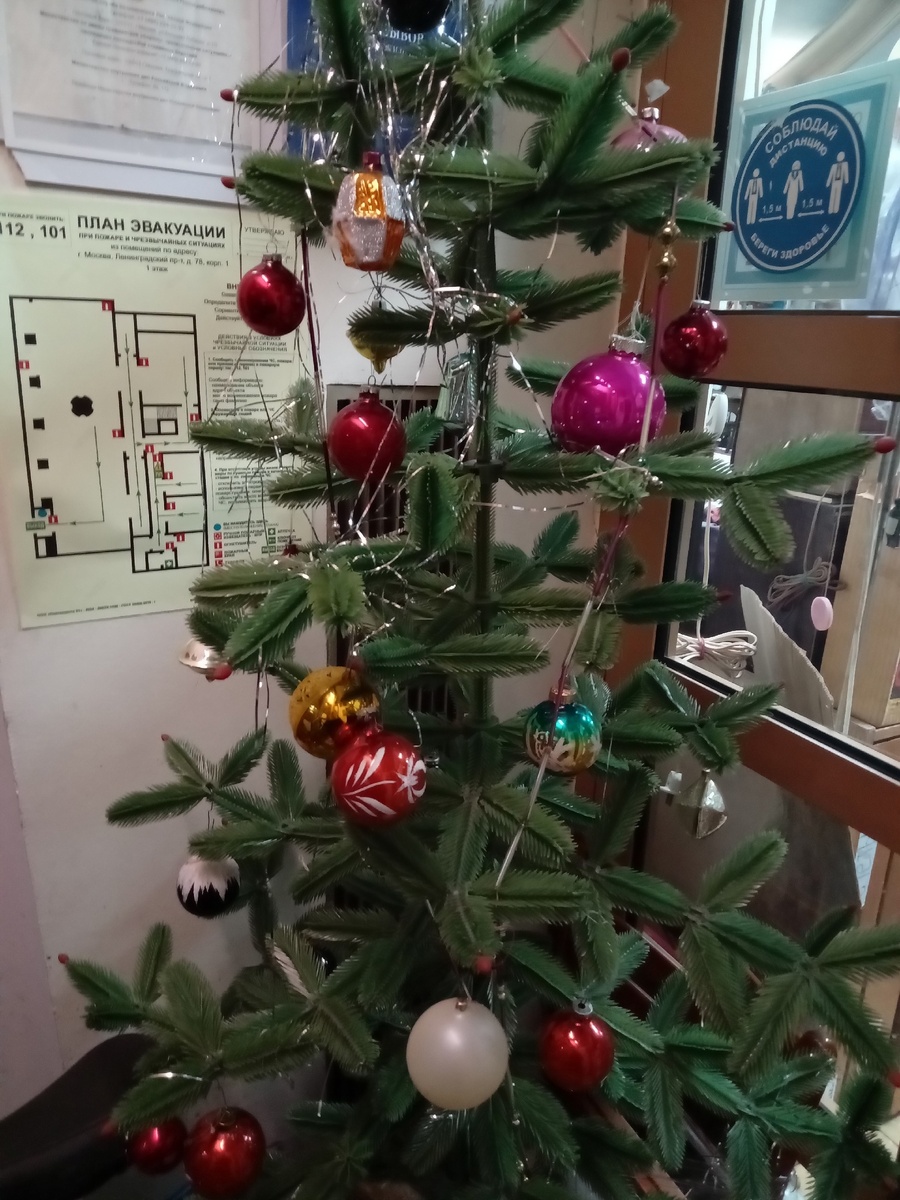 Фото автора статьи.