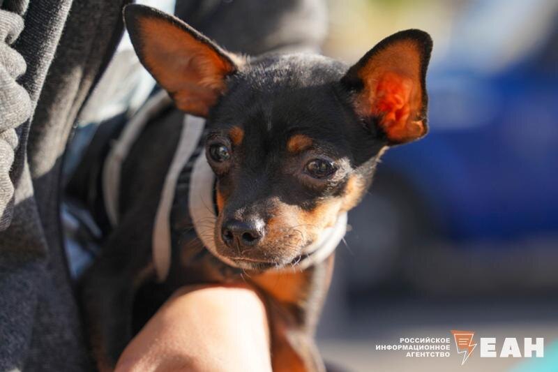    Архивное фото ЕАН