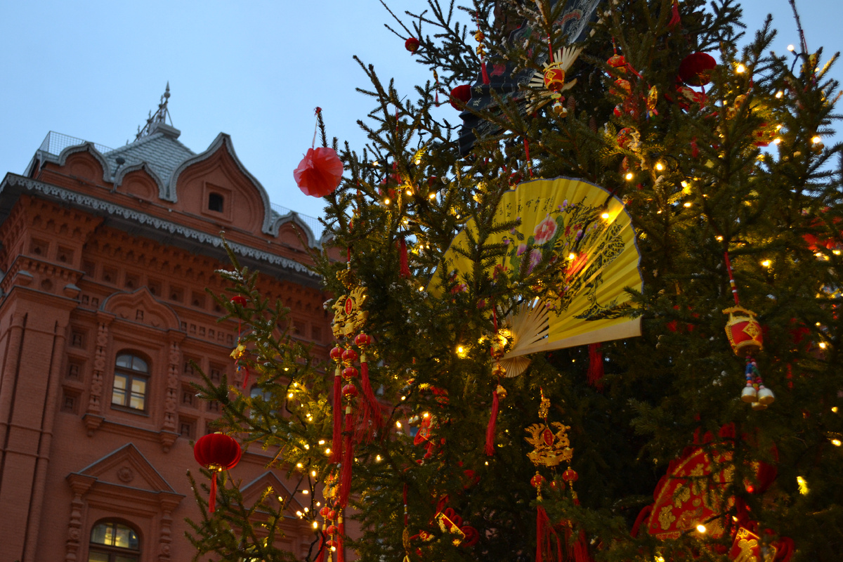 Вид на Государственный Музей Отечественной войны 1812 г. 28.01.25 г. Фото автора