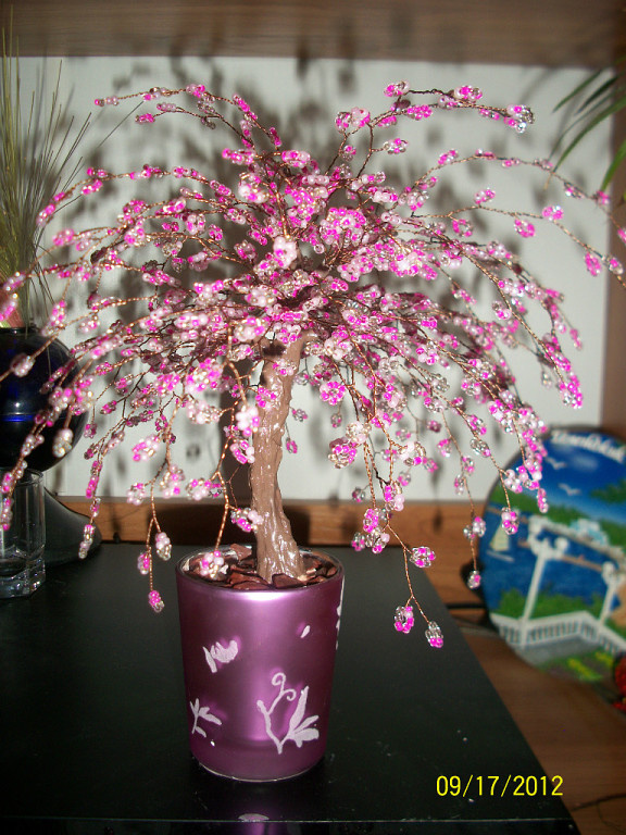 Первая сакура