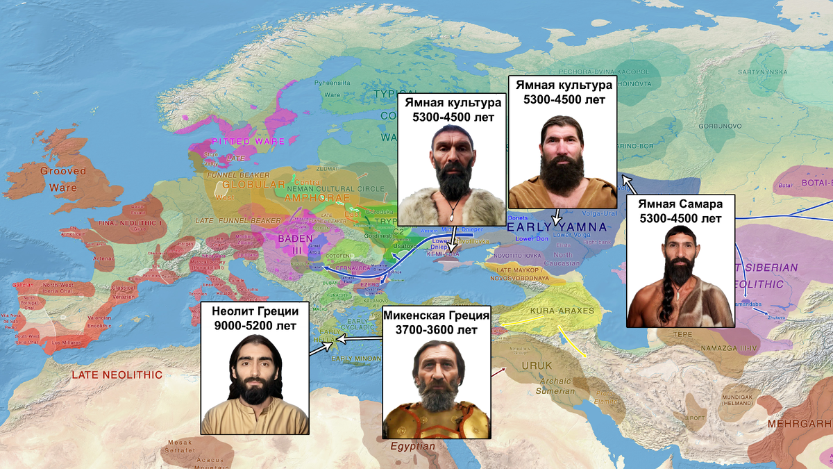 См. все иллюстрации...