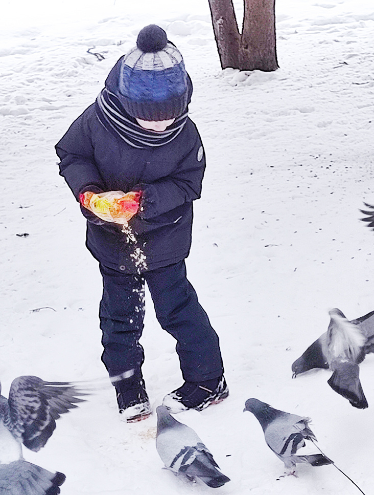 кормите приц зерном или овсянкой, не хлебом!