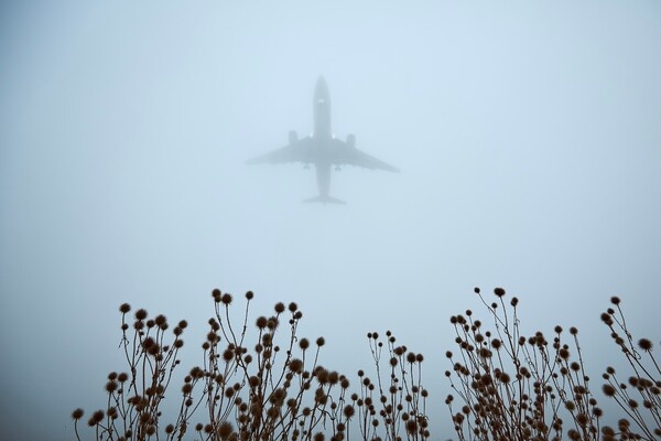 Jaromir Chalabala/Shutterstock/FOTODOM  