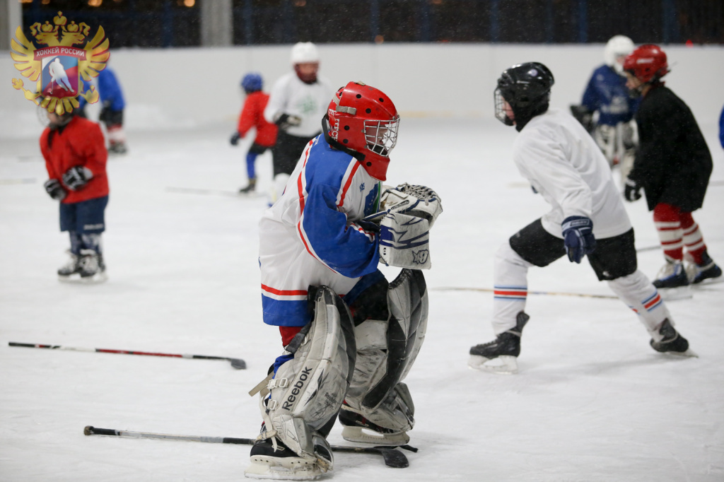 Фото: Федерация Хоккея России