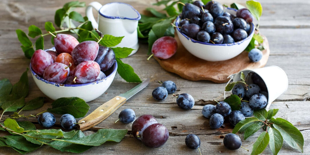 Календарь работ со сливами