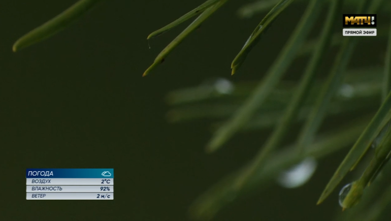 Скрин трансляции. 