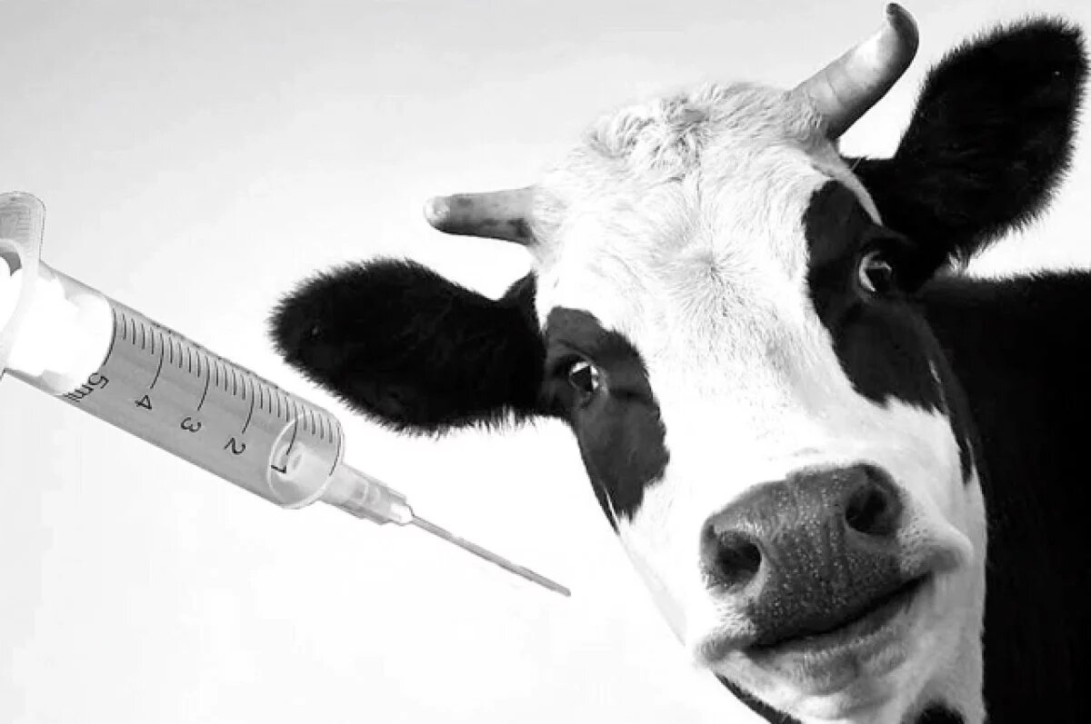    В Самаре ввели карантин из-за серьезной инфекции