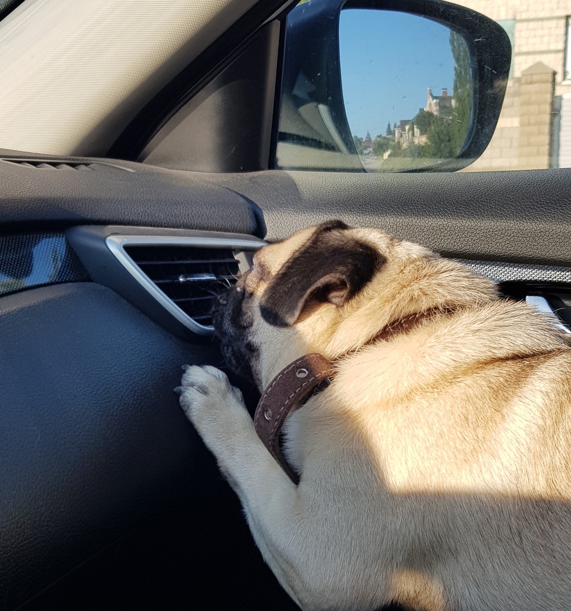 Фото из личного архива