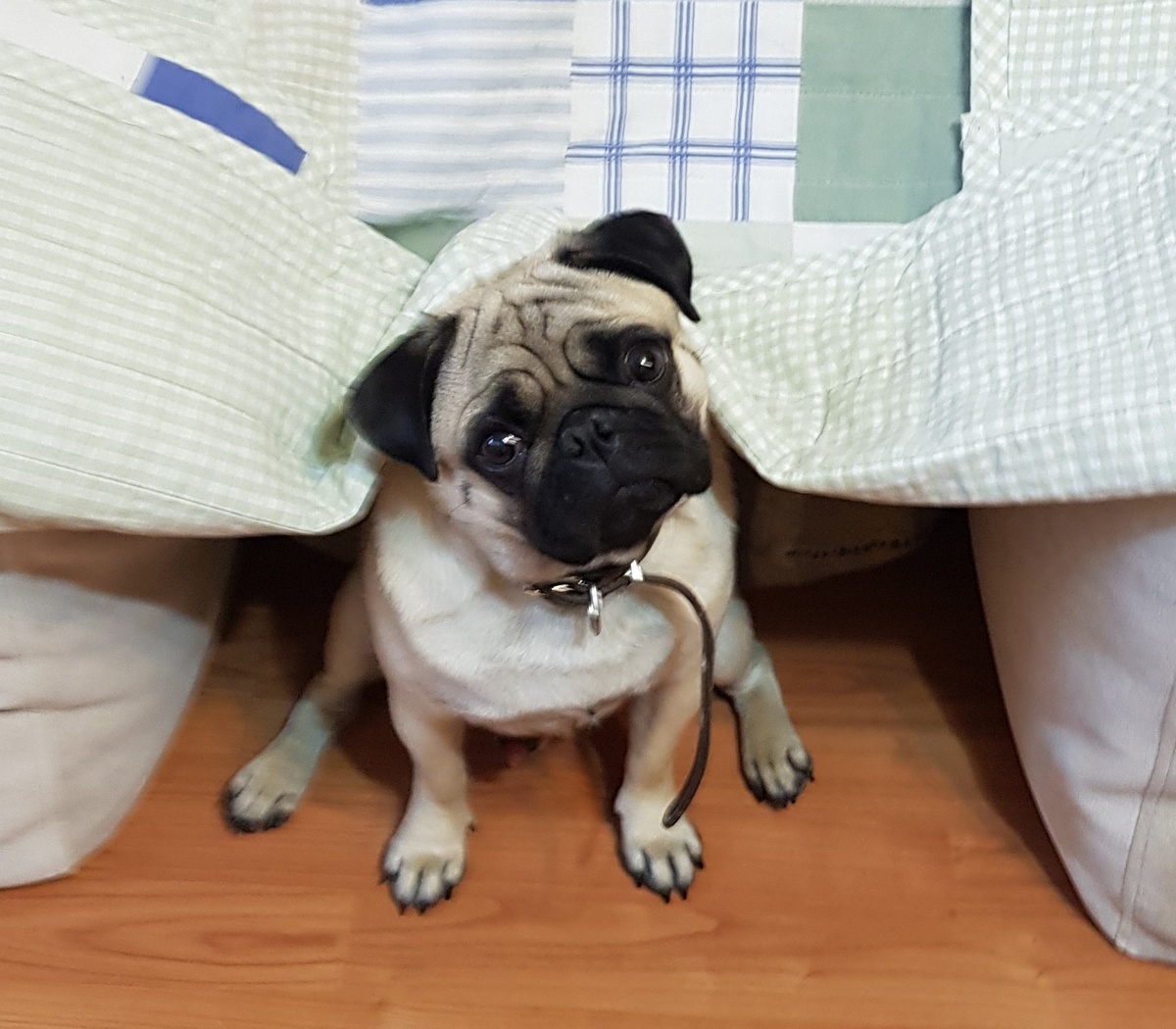 Фото из личного архива