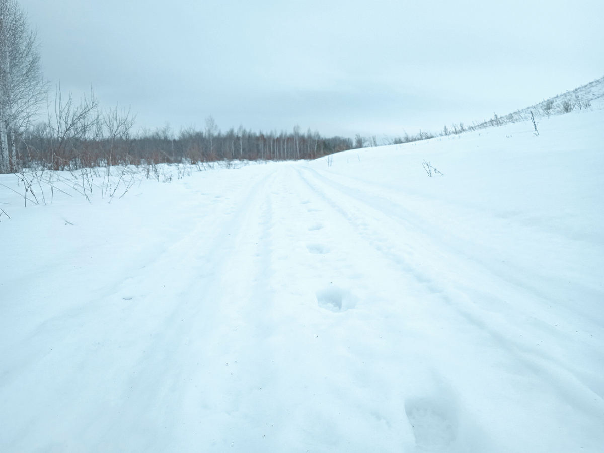 Мои беговые следы на снегоходке, здесь ещё не такие глубокие, но и то бежалось совсем не быстро.