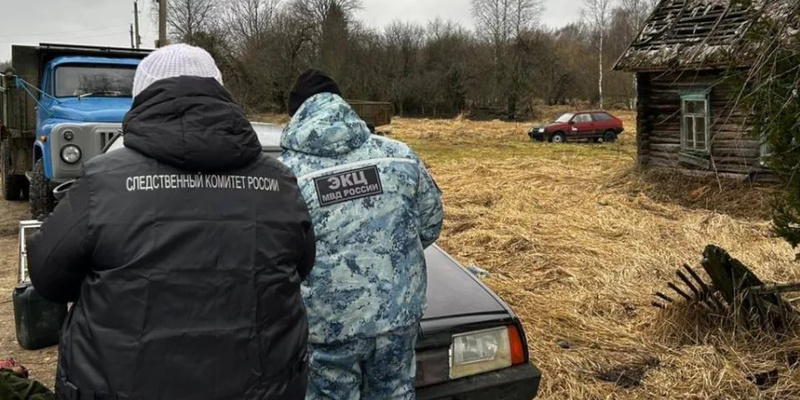 В деревне Усохи 63-летний Сергей Борисов напал на сотрудников лесничества. Фото: СУ СКР.