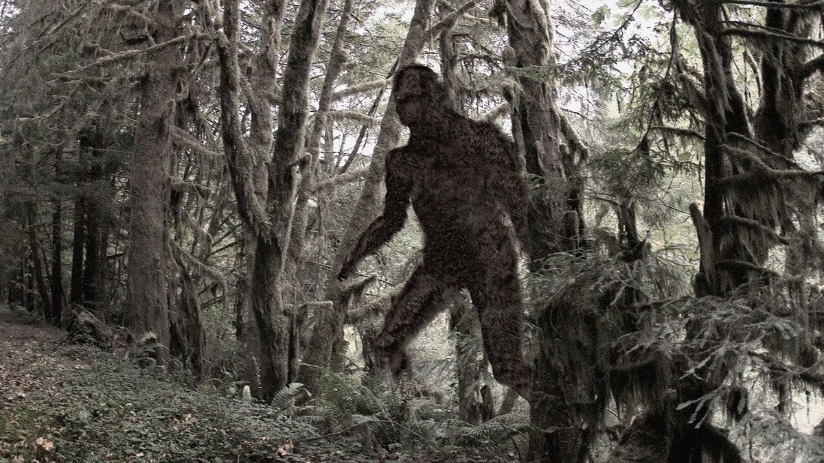 Фото из Яндекса