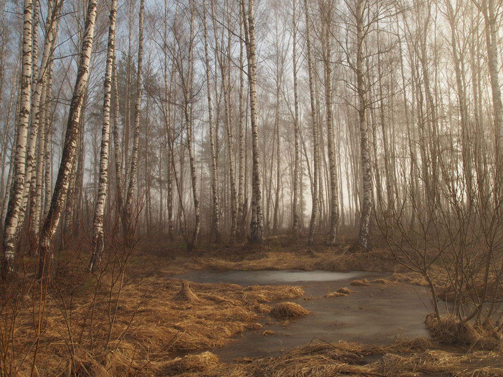 23 марта 2014 г.