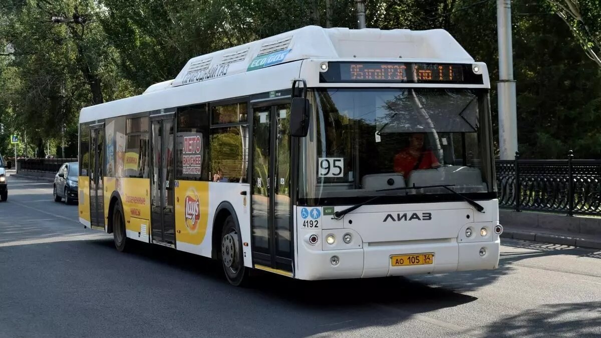     Источник: novostivolgograda.ru