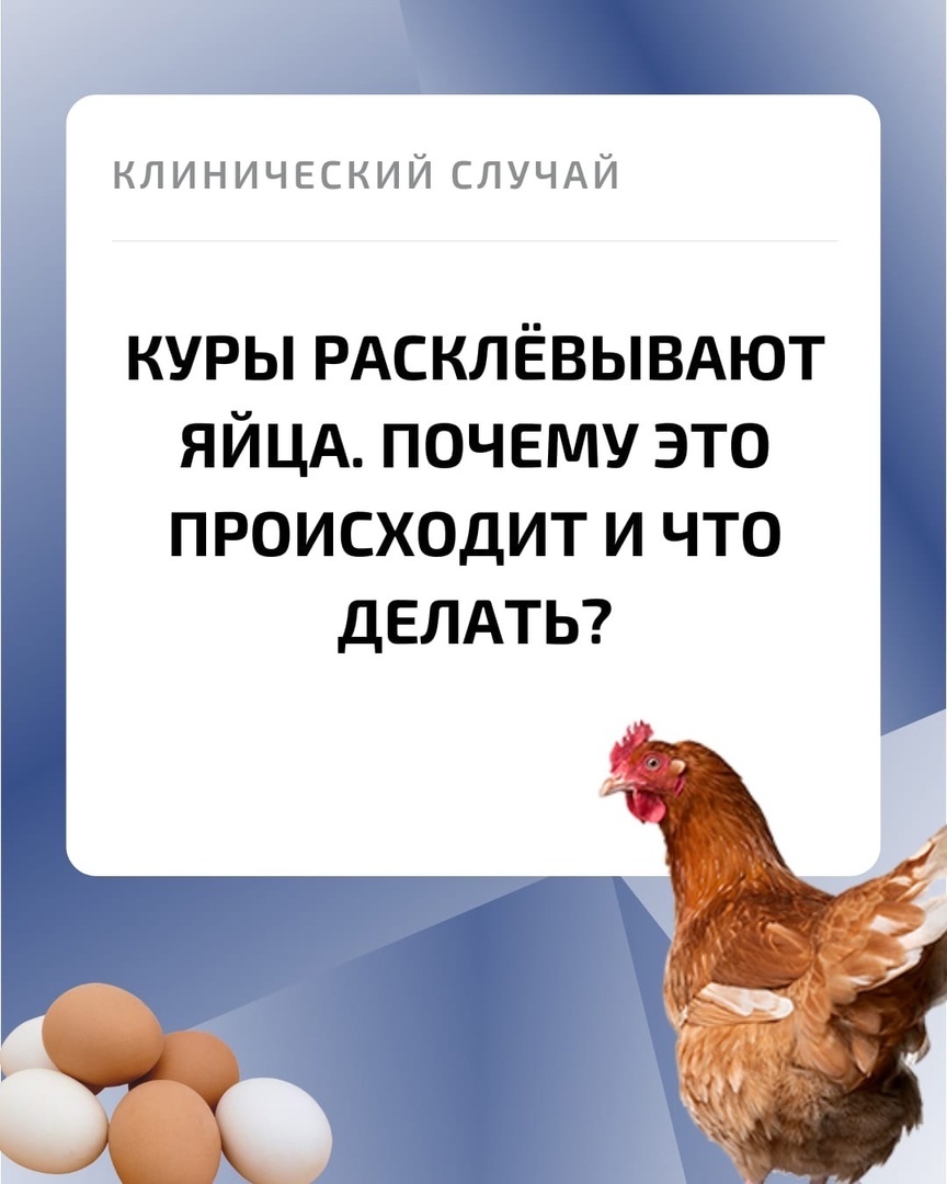 Недостаток микроэлементов у птиц