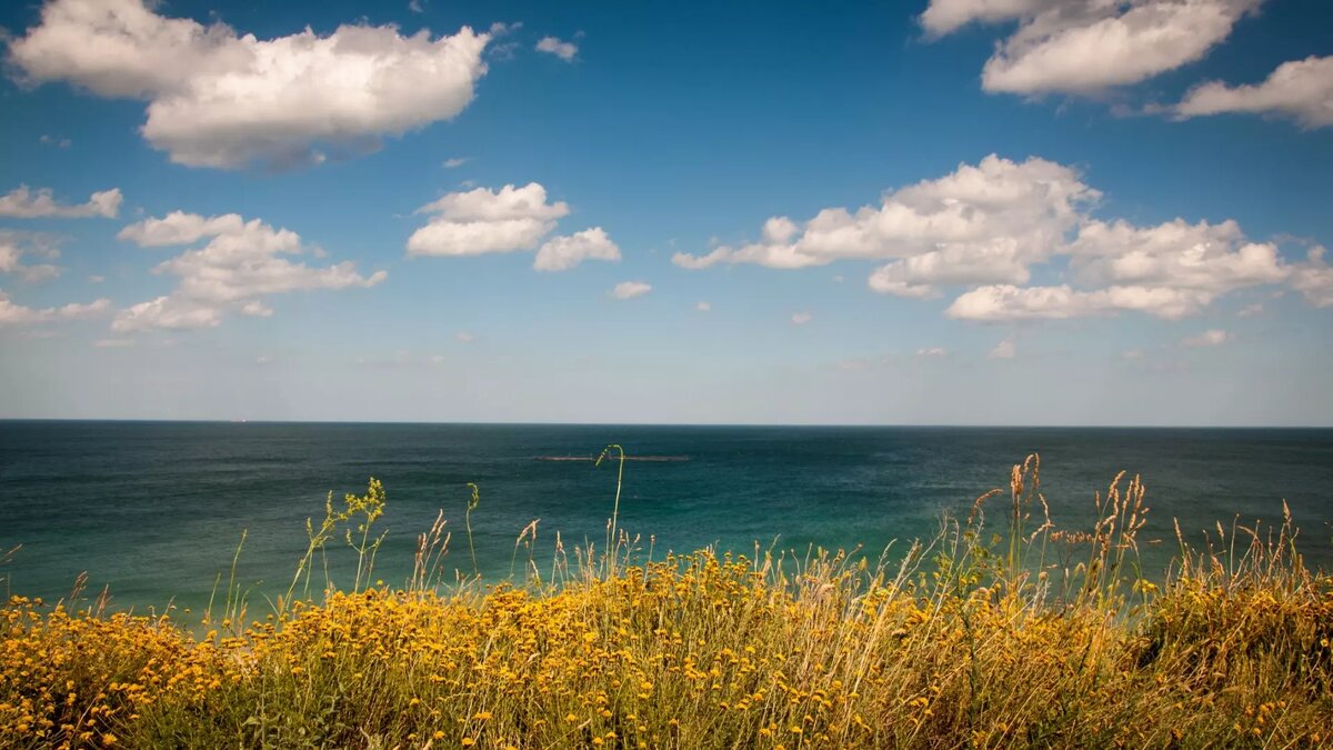     Источник: pxhere.com