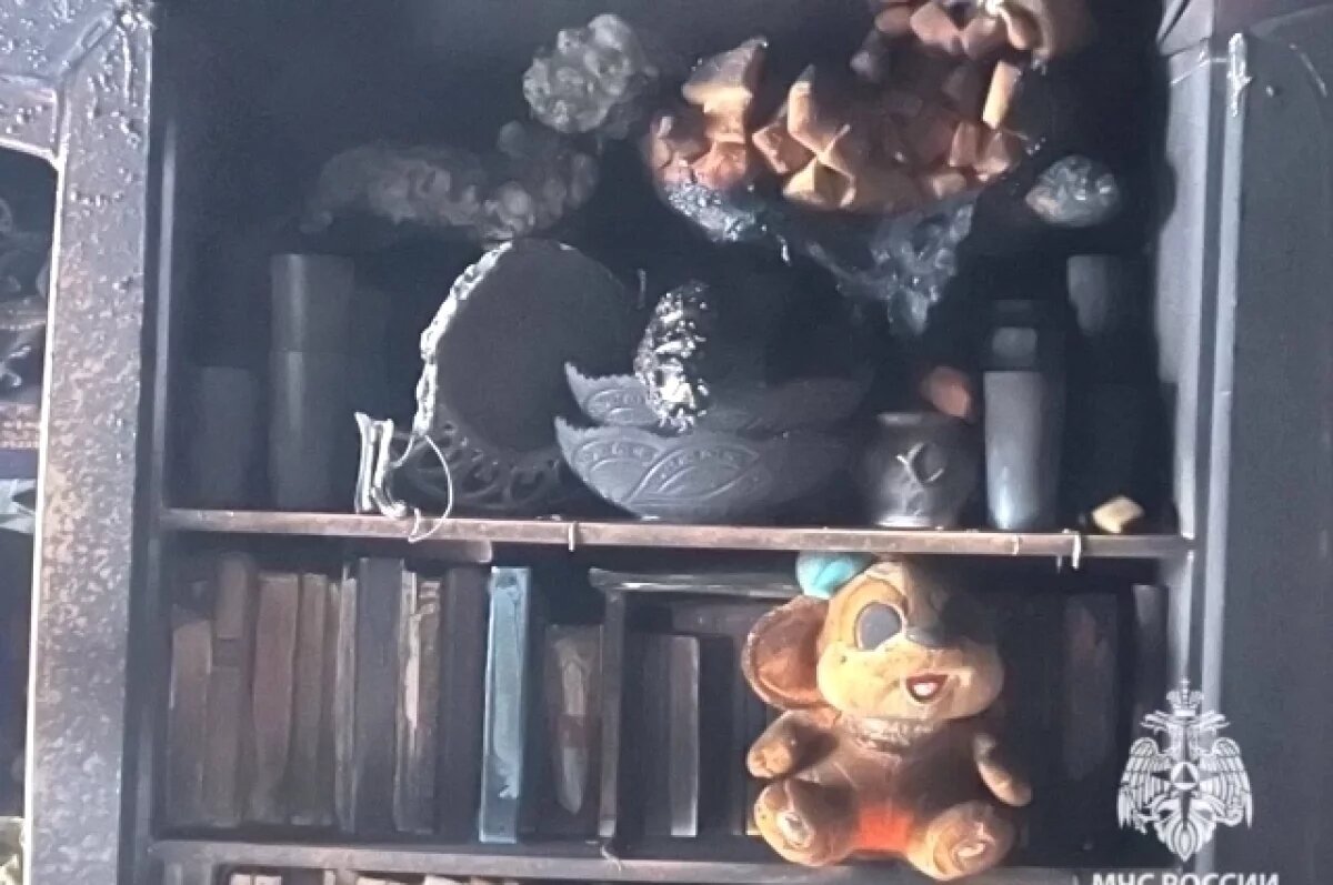    Погибших в пожаре бабушку и трех детей похоронили в хуторе под Волгоградом