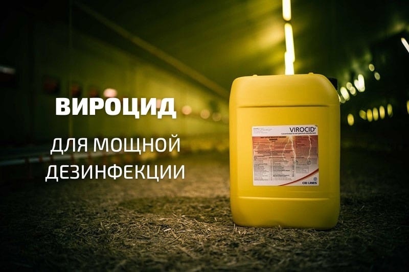 Дезинфекция животноводческих помещений