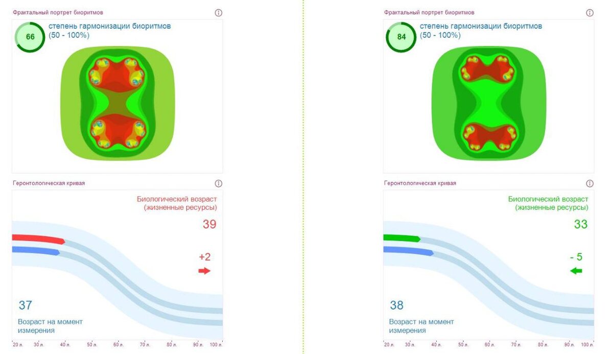 Диагностика энергетического ресурса организма в программах Лотос - Оникс