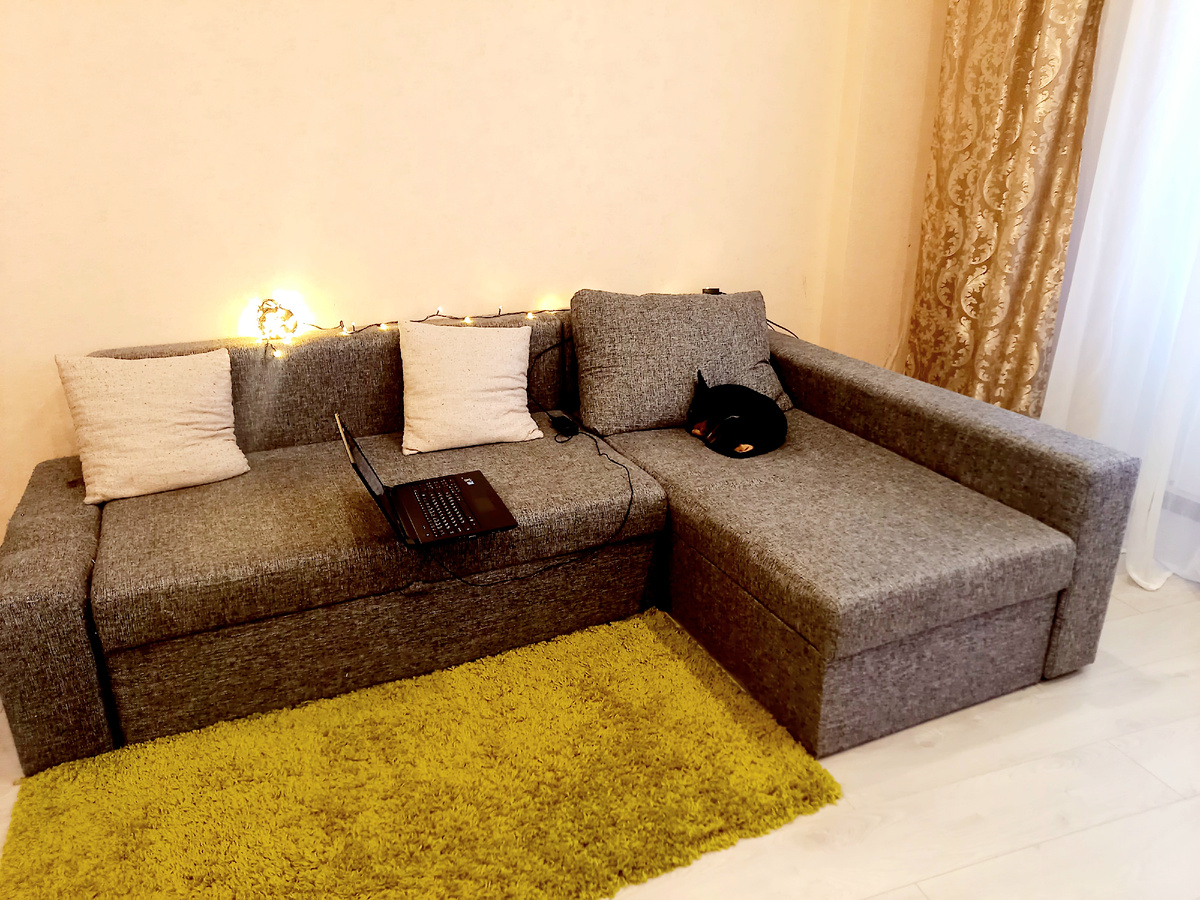 Наше новое рабочее место. Рэд делает вид, что спит, но на самом деле охраняет