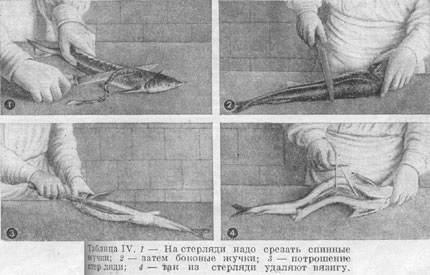 Разделка осетра для получения визиги